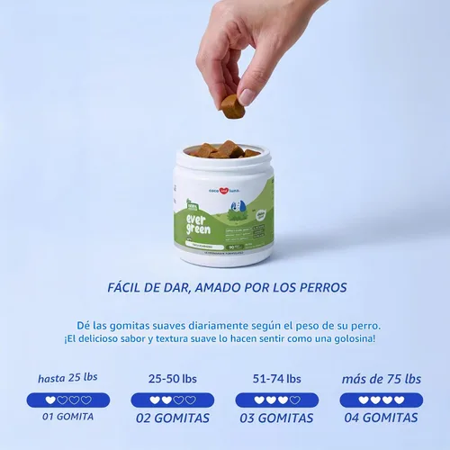 Vista 7 de Masticables para quemar hierbas, neutralizador de orina de perro y protector de césped