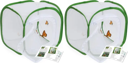 Vista 9 de RESTCLOUD Jaula de hábitat para insectos y mariposas con protección de cremallera, 12 x 12 x 12 pulgadas