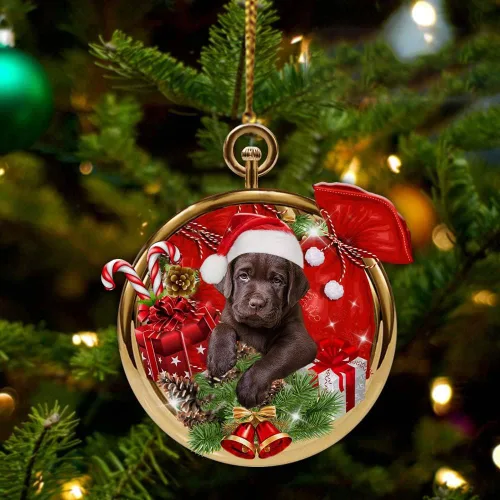 Vista 20 de Nazenti Adorno personalizado de bola de Navidad de pastor australiano – Adorno de perro personalizado para amantes de las mascotas, colgante