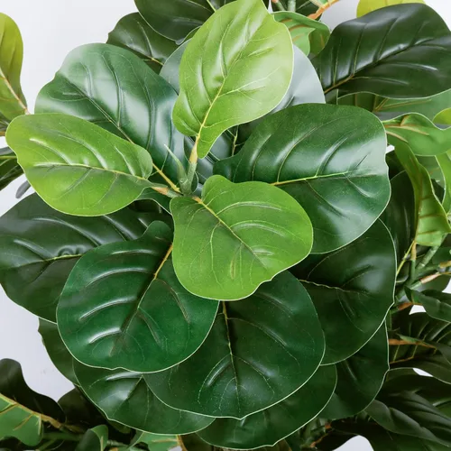 Vista 4 de Árbol de higuera artificial de hoja de violín de 5 pies de alto, planta de higuera falsa para interiores, planta de ficus iyrata falsa que incluye