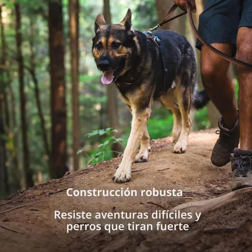 Vista 8 de Ruffwear, Front Range - Arnés reflectante para perro, suave y acolchado, de uso diario, con doble clip para correa, ajustable, ligero, para caminar