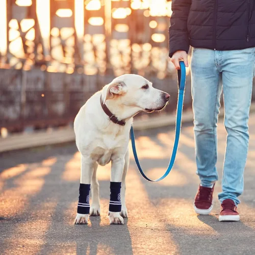 Vista 6 de 4 protectores de codo para mascotas, transpirables, de punto, calentadores de piernas para perros, mangas elásticas de apoyo
