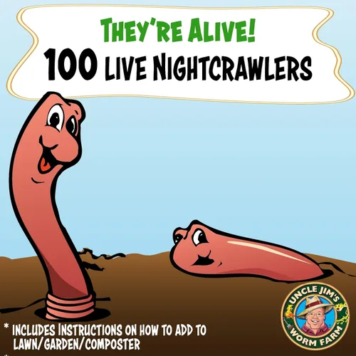Vista 2 de Uncle Jim's Worm Farm 100 unidades de Nightcrawlers europeos súper rojos para compostaje y aireación del suelo del jardín Los grandes rastreadores