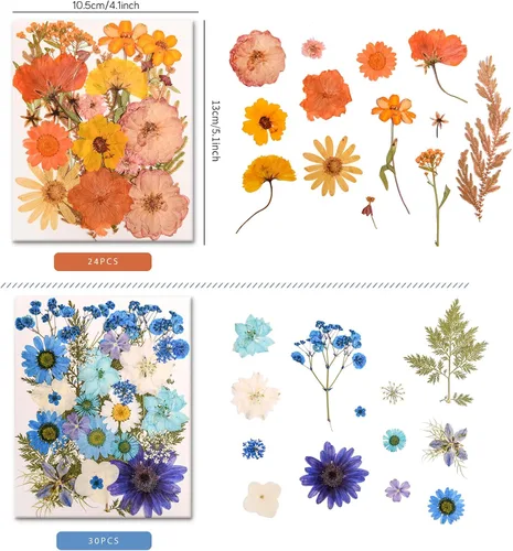 Vista 4 de 182 PCS Real Pressed Dried Flowers and Leaves for DIY Crafts Multicolor2