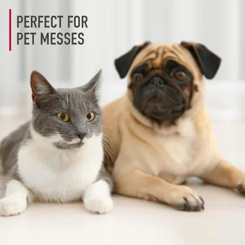 Vista 3 de Hoover Paws & Claws - Limpiador multi superficie para suelos, solución de limpieza para de mascotas concentrada para máquinas FloorMate, fórmula