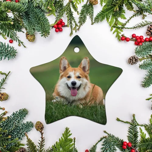 Vista 3 de Design You Own Adorno personalizado con forma de estrella, adorno de cerámica para árbol de Navidad, colgante de porcelana con cuerda dorada