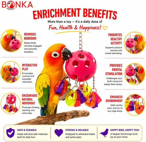 Vista 3 de Bonka Bird Toys 1938 Paci Pull Colorido Chupete Anillo Acrílico Loro Parrotlet Budgie Quaker Africano
