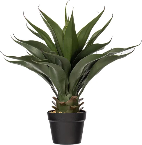 Vista 4 de Vickerman Everyday - Selección de aloe verde artificial para interiores de 6 pulgadas, selección única de suculentas coloridas de PVC duradero, sin