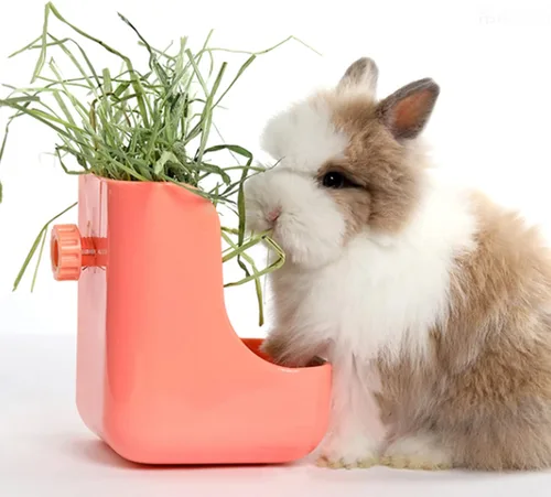 Vista 7 de Timothy Hay, alimento para mascotas pequeñas de 2.2 libras Heno timothy fresco natural sin polvo, para conejos, tortugas, cobayas, chinchillas, 2