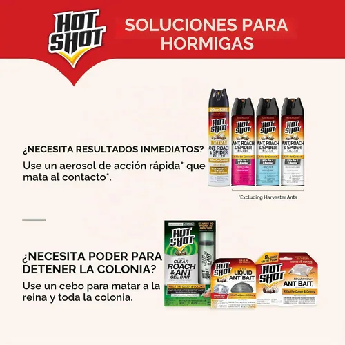 Vista 8 de Hot Shot MaxAttrax - Cebo para hormigas, 4 unidades, estaciones de cebo Comienza a matar en horas, para uso en interiores y exteriores, funciona