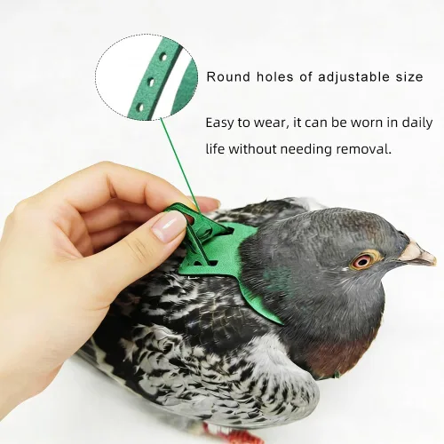 Vista 5 de Juego de arnés ajustable y correa para pájaros pequeños, apto para periquitos, conures, cacatúas, mejillas verdes, loros cuáqueros (verde, XS) 6350-6