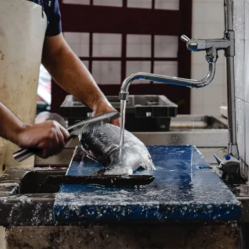 Vista 6 de Desincrustador de pescado, desincrustador de peces de acero inoxidable 304, herramienta descalcificadora de peces de dientes de sierra para cocina