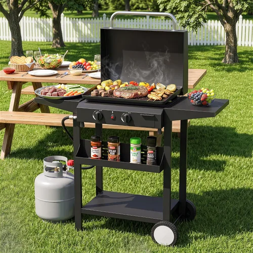 Vista 2 de Plancha de gas para barbacoa de 2 quemadores, 25.6 pulgadas