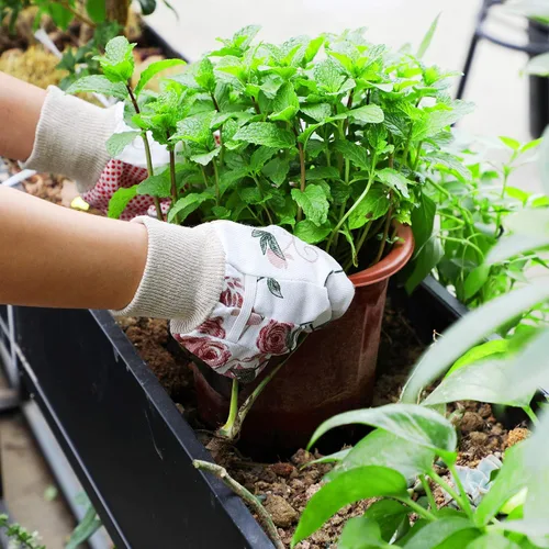 Vista 6 de Geiserailie 4 pares de guantes de jardín para mujer, guantes de jardinería florales, guantes de trabajo suaves y transpirables para limpieza