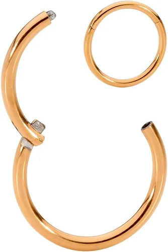 Vista 10 de 365 Sleepers - Piercing para el cuerpo de acero quirúrgico 316L, 20G, 18G, 16G, 14G, 12G, 10G, 8G, 6G, con sección abisagrado, se vende por unidad