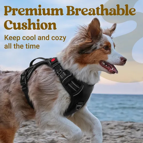 Vista 7 de rabbitgoo Arnés para perro de tamaño pequeño, arnés para mascotas sin tirones con mango acolchado suave, chaleco reflectante ajustable con 3