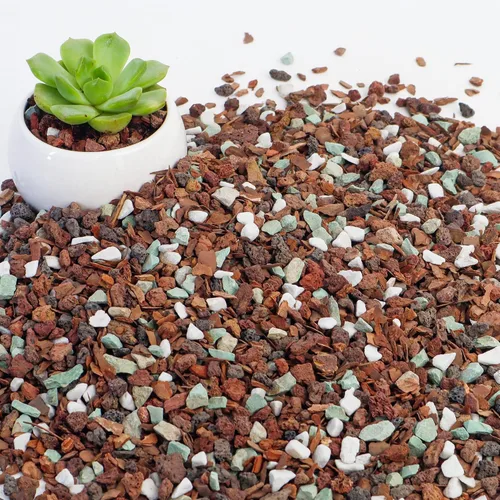Vista 8 de Mezcla de suelo para bonsái de 2 cuartos, lava, corteza, roca volcánica, zeolita verde y perlita, mezcla orgánica natural para plantas en maceta