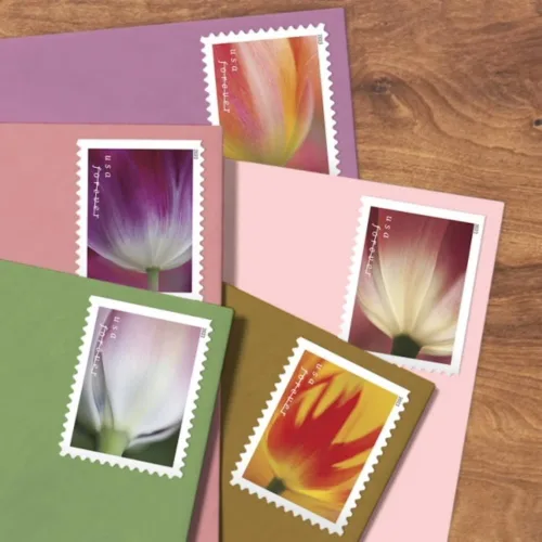 Vista 4 de USPS 2023 Tulip Blossom Forever - Sellos postales de primera clase (20 unidades)
