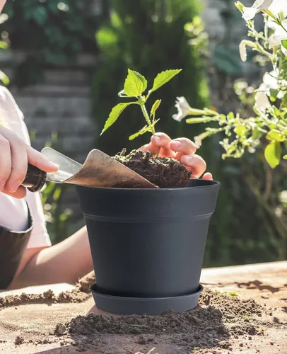 Vista 3 de homenote Macetas de plantas, macetas de 6/7.5 pulgadas para plantas, macetas de plástico para interior con múltiples agujeros de drenaje y bandejas