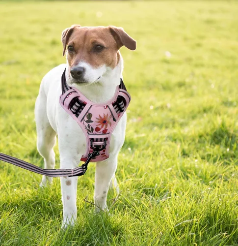 Vista 5 de Arnés de chaleco sin tirones para perros medianos con asa de fácil control, correa reflectante para pasear al cachorro, entrenamiento, sin