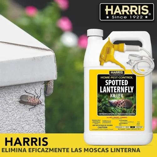 Vista 2 de Harris Spotted Lantern - Matamoscas antimoscas, inodoro y no mancha, listo para usar, 128 onzas