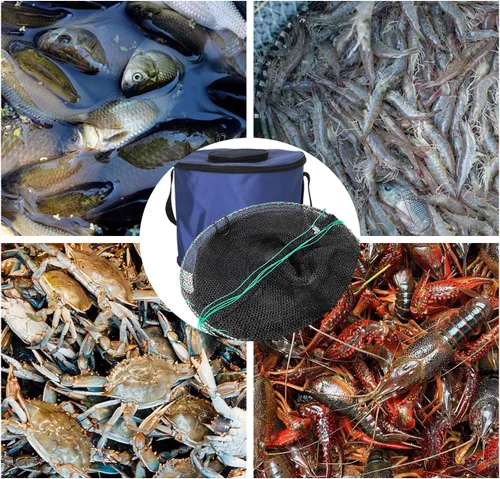 Vista 6 de Trampa Minnow con red de pesca plegable (11 x 24 pulgadas) y cubo de pescado plegable, trampa para cangrejos, cangrejos y camarones para pesca
