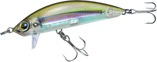 Vista 11 de Minnow de superficie costera 3D