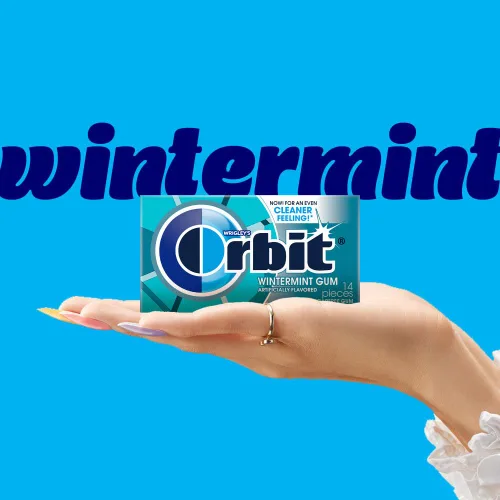 Vista 5 de Chicle sin azúcar ORBIT Wintermint, 12 paquetes al por mayor, 14 piezas cada uno (total de 168) Cool wintermint individually wrapped sugar free