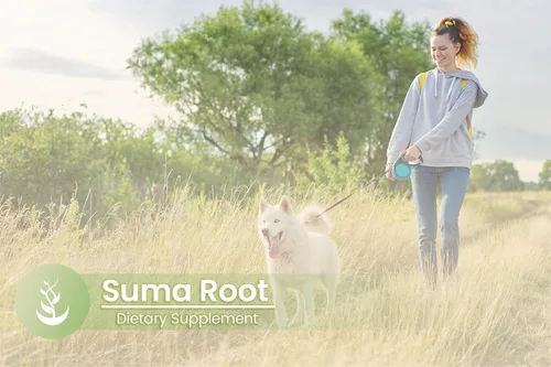 Vista 5 de PURE ORIGINAL INGREDIENTS Suma Root, (100 cápsulas) siempre puro, sin aditivos ni rellenos, verificado por laboratorio (paquete de 2)