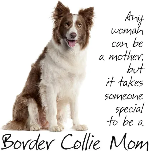 Vista 3 de CafePress Border Collie Mom - Pijama para mujer