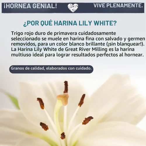 Vista 3 de Great River Milling Harina Blanca de Lirio Orgánica Todo Propósito Sin blanquear y sin bromatos Sin transgénicos, Kosher Ideal para pan