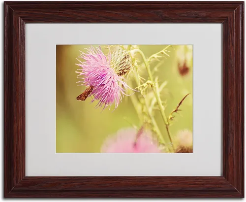Vista 2 de Trademark Fine Art Skipper on Pink Thistle - Arte enmarcado con marco de madera, 11 x 14 pulgadas