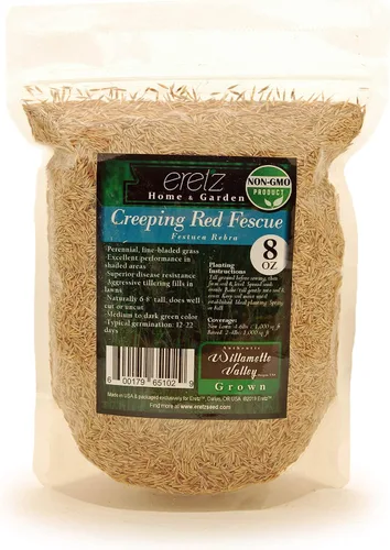 Vista 6 de Semilla de festuca roja rastrera (3 libras) – ¡Elige el tamaño! Cultivado en Willamette Valley Oregon, sin rellenos, sin malas hierbas u otras