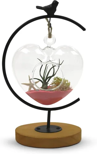 Vista 3 de WGV - Terrario colgante de cristal para plantas, ancho 5 pulgadas, altura 5 pulgadas, corazón de San Valentín, maceta de aire para suculentas, luz