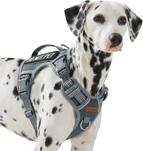 Vista 27 de Arnés para perro sin tirones para perros de tamaño pequeño, chaleco ajustable para caminar fácilmente, material Oxford transpirable, tiras Verde