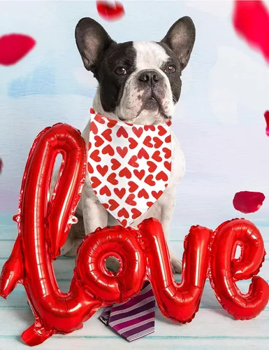 Vista 6 de XOXO - Pañuelos para el día de la madre, pañuelo para perro con corazón rojo, 2 unidades (02)