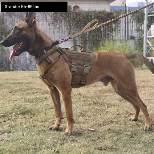 Vista 2 de ICEFANG GN3 Arnés táctico para perro con hebilla 6X, chaleco Molle para perro con asa, cobertura corporal 3/4, panel de gancho y bucle para parche