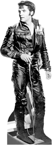 Vista 27 de Imágenes en cartón de Elvis Presley , talla única , Elvis 1
