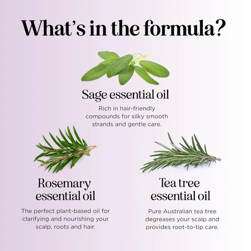 Vista 8 de Champú Sage anticaspa con argán, jojoba y spikenard orgánico, 100% natural, sin sulfatos, tratamiento para hombres y mujeres, fórmula antiséptica