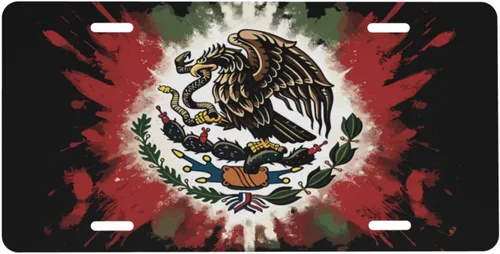 Vista 18 de Placa de matrícula de aluminio con bandera polaca de Polonia, águila polaca, cubierta de placa de matrícula frontal de metal para automóvil