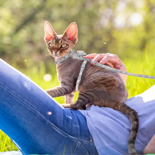 Vista 6 de TIESOME Juego de arnés y correa para gato, arnés ajustable degradado para gatito, arnés a prueba de escapes con correa para caminar al aire libre