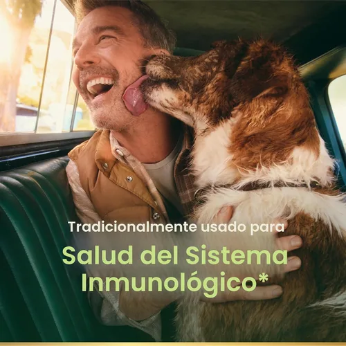 Vista 2 de De la Naturaleza Bounty todo natural zacate Echinacea 400 mg, 100 Cápsulas, 5633, 1, 1