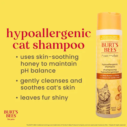 Vista 3 de Burt's Bees for Pets Champú hipoalergénico para gatos con manteca de karité y miel, fórmula suave para gatos de interior con piel seca o sensible