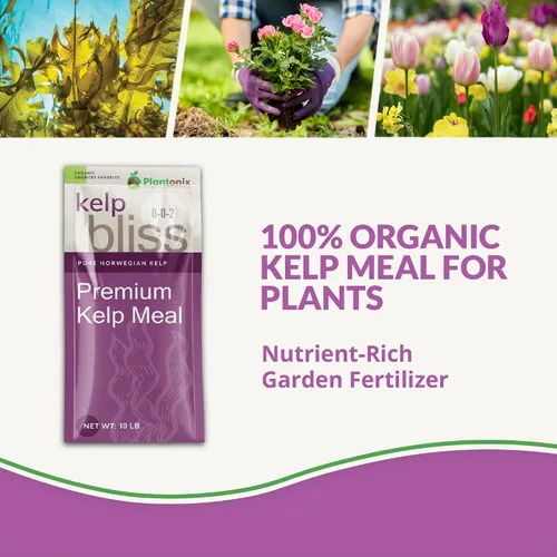 Vista 2 de Kelp Bliss (10 libras) - Fertilizante orgánico de harina de algas para plantas, suelo de jardín, flores, verduras y césped, fertilizante orgánico