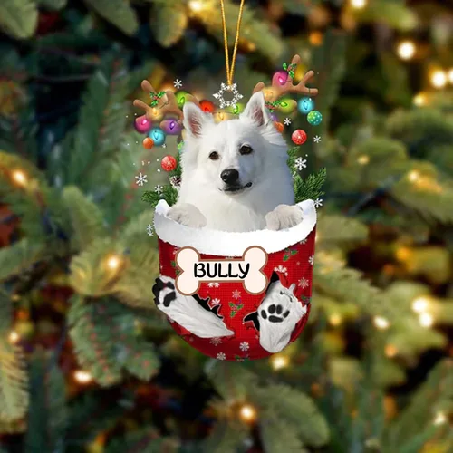 Vista 201 de IZI POD Affenpinscher Adorno de Navidad personalizado para perro, adorno de bolsillo de nieve para perro para árbol de Navidad, adorno acrílico