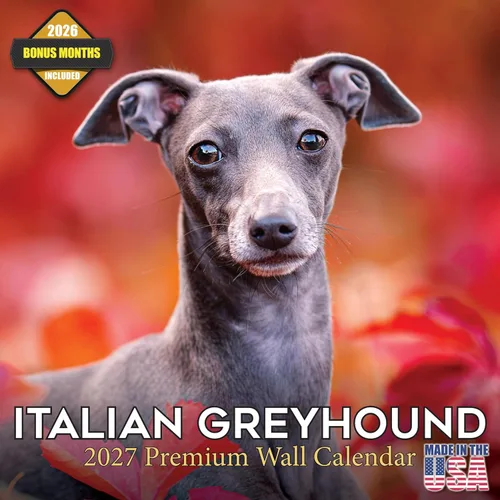 Vista 52 de Calendario de Lebrel Afgano 2025 2026, calendario mensual de pared de raza canina, 12" x 18" abierto, papel grueso sin traspaso, ideal para regalo