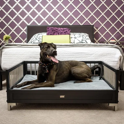 Vista 5 de New Age Pet ecoFLEX Manhattan - Cama elevada para perro con cojín extraíble, XL, color espresso