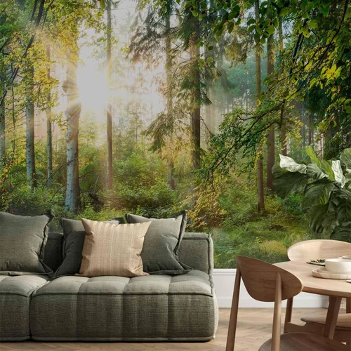 Vista 62 de artgeist Mural de pared premium Bosque púrpura, 79 x 55 pulgadas, papel tapiz no tejido, decoración de pared de vellón, impresión fotográfica