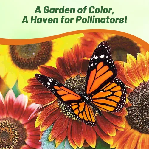 Vista 6 de Outsidepride 1/4 lb. Helianthus Annuus Autumn Beauty - Mezcla de semillas de girasol para plantar