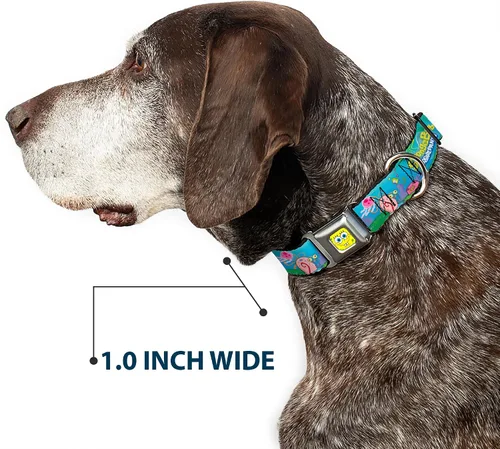 Vista 6 de Buckle-Down Collar de perro con hebilla de cinturón de seguridad, Bob Esponja y amigos/logotipo, 1 pulgada de ancho, se adapta a cuello de 9 a 15
